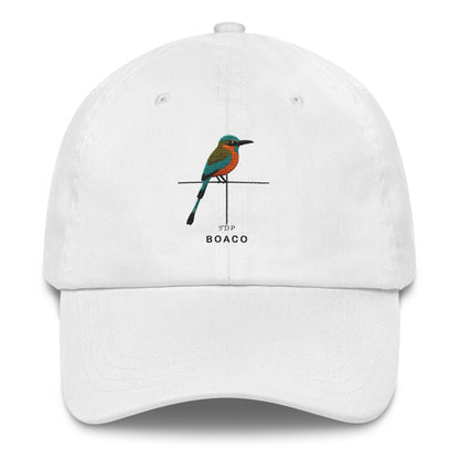 Departamentos de Nicaragua Hat