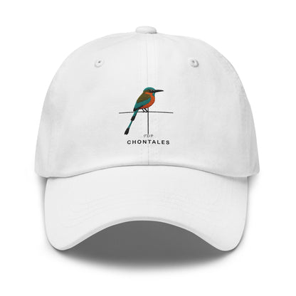 Departamentos de Nicaragua Hat