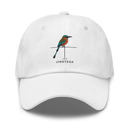 Departamentos de Nicaragua Hat