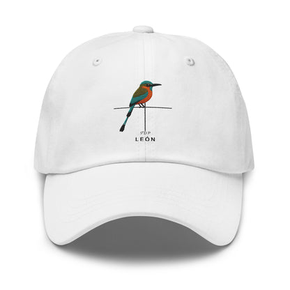Departamentos de Nicaragua Hat