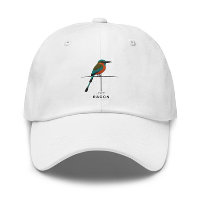 Departamentos de Nicaragua Hat