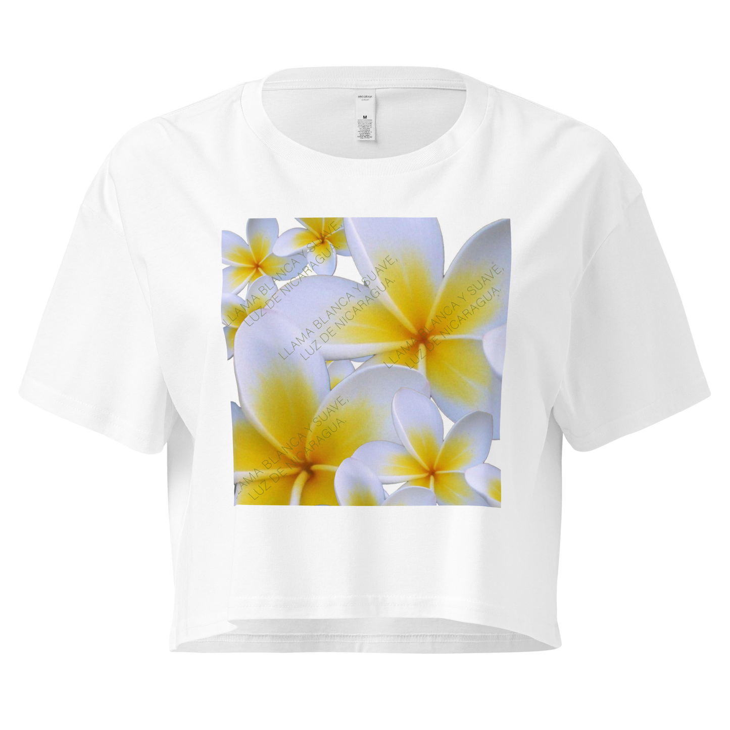 Tinta de Pueblo Women's Crop Top