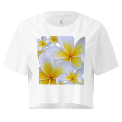 Tinta de Pueblo Women's Crop Top